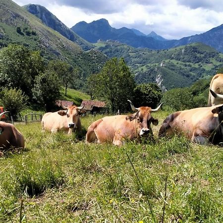 Casa La Fragua 15 Min De Onís Dış mekan fotoğraf