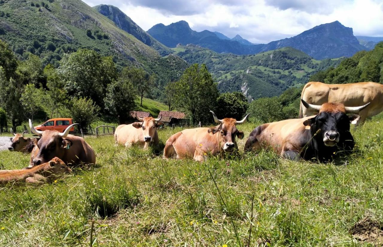 Casa La Fragua 15 Min De Onís Dış mekan fotoğraf