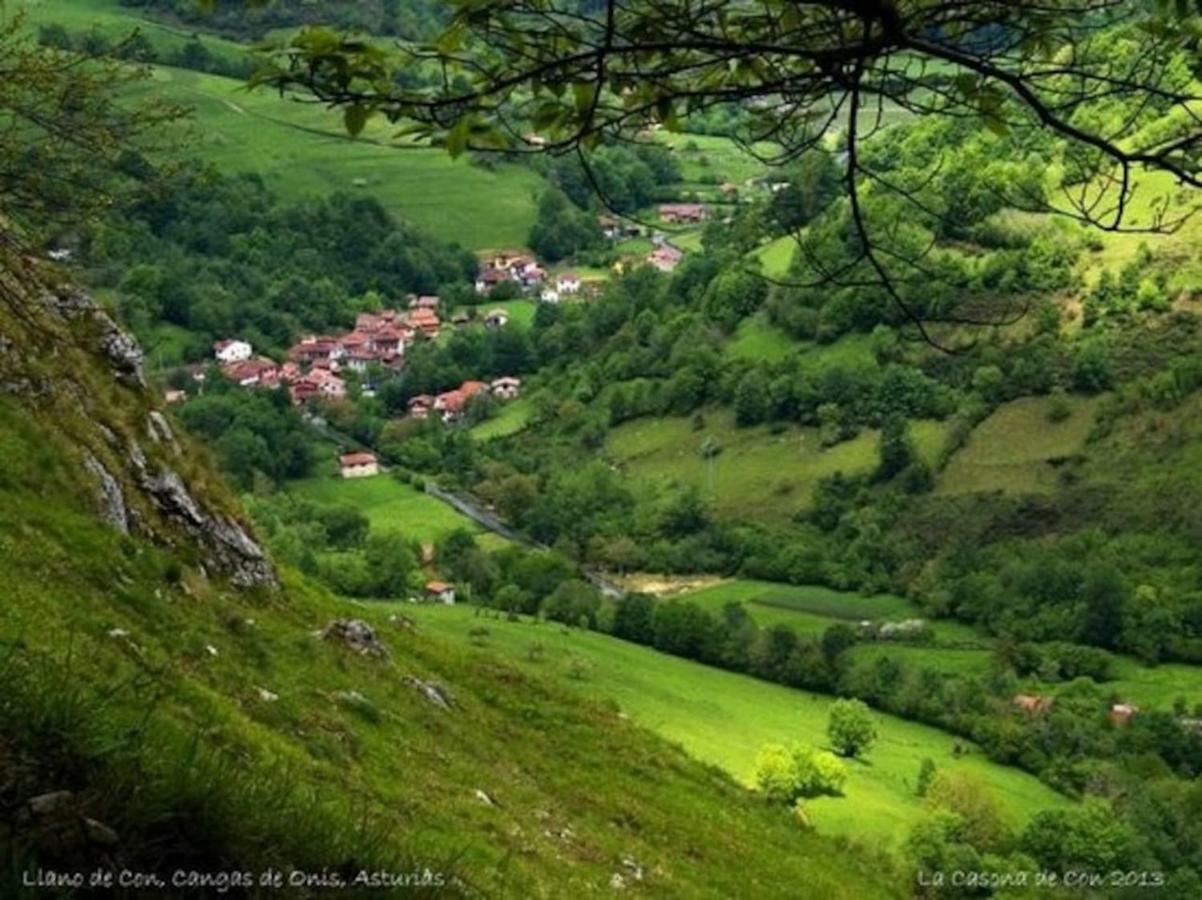 Casa La Fragua 15 Min De Onís Dış mekan fotoğraf